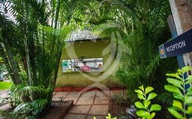 Zulu Land Cottages - Near Curlies Beach Shack And Shiva Valley - Anjuna Beach